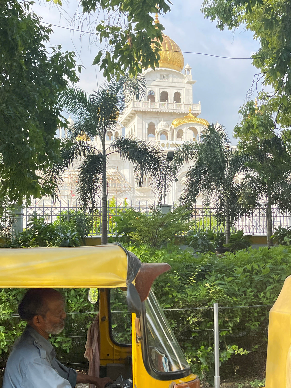 INCREDIBLE INDIA...cows, craft and facing our fears - Lanamara